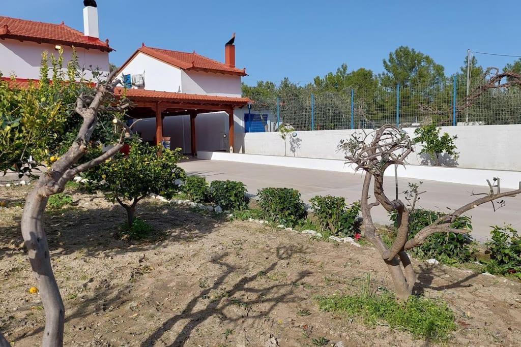 Aleyna House Lindos Area Villa Eksteriør billede